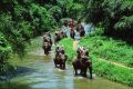 Published The day is fixed to enjoy both morning and afternoon jungle safari in order
to have lifetime wildlife experience and explore the park in the best way
out.
