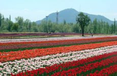 KASHMIR akin to heaven on earth