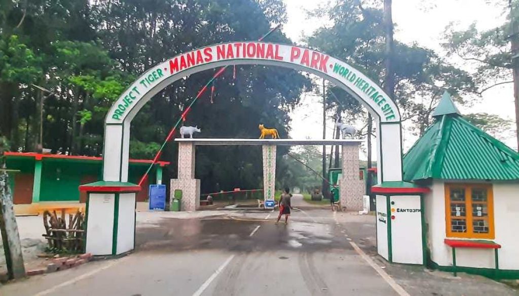 Manas_National_Park